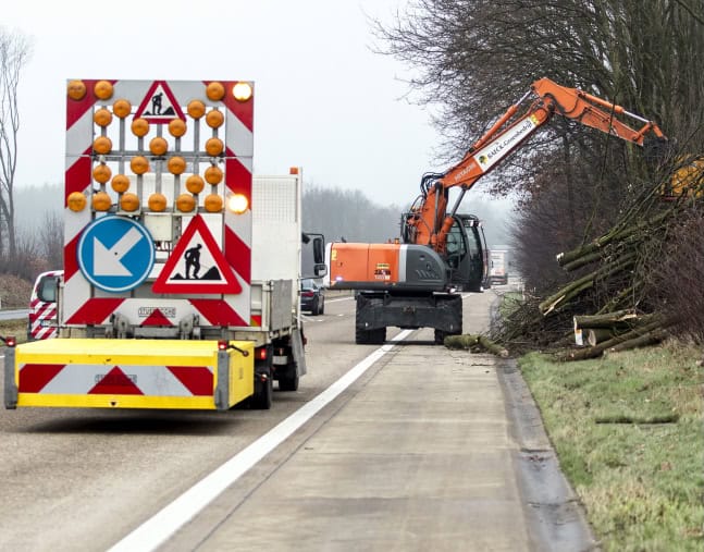 botsabsorbeerder julietta-1